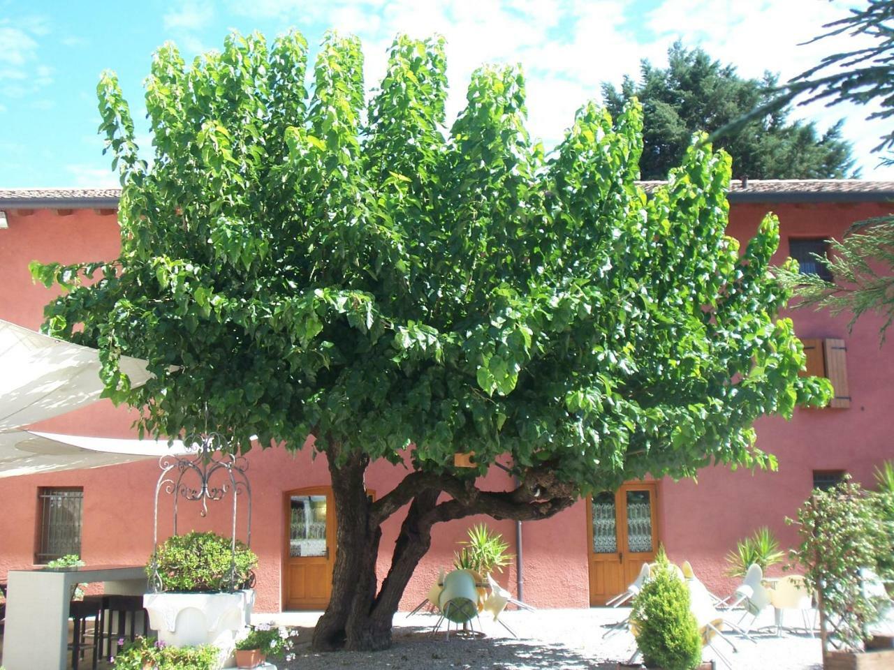 Agriturismo Al Casale Codroipo Exterior foto